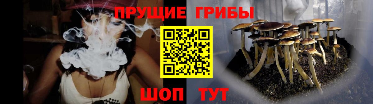 Галлюциногенные грибы ЛСД  наркошоп  Гуково  Вход с VPN 